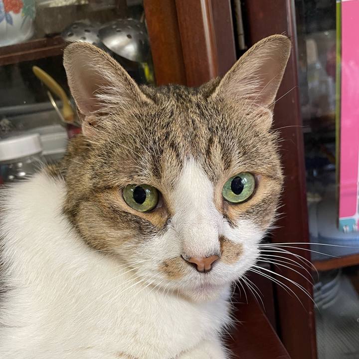 Ea0dcae3 3321 4123 a0d3 1024a3d2bcbb 1753501517042