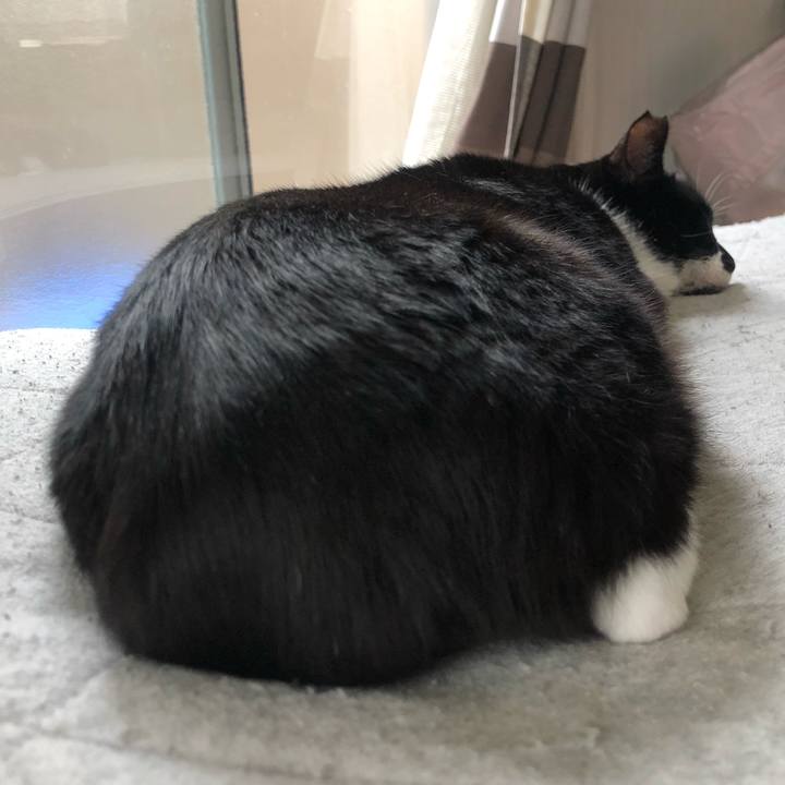 Ea0ddca7 e4d4 4c2f af85 c632ca75c762 1651291689346