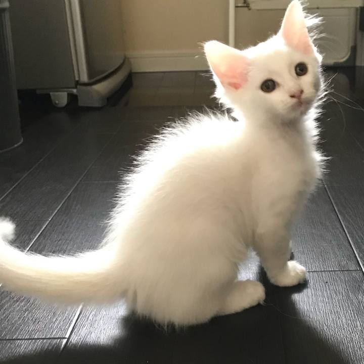 Ea0de43e 8e86 4b41 8c49 36c1b9b6ca6e 1536553440063