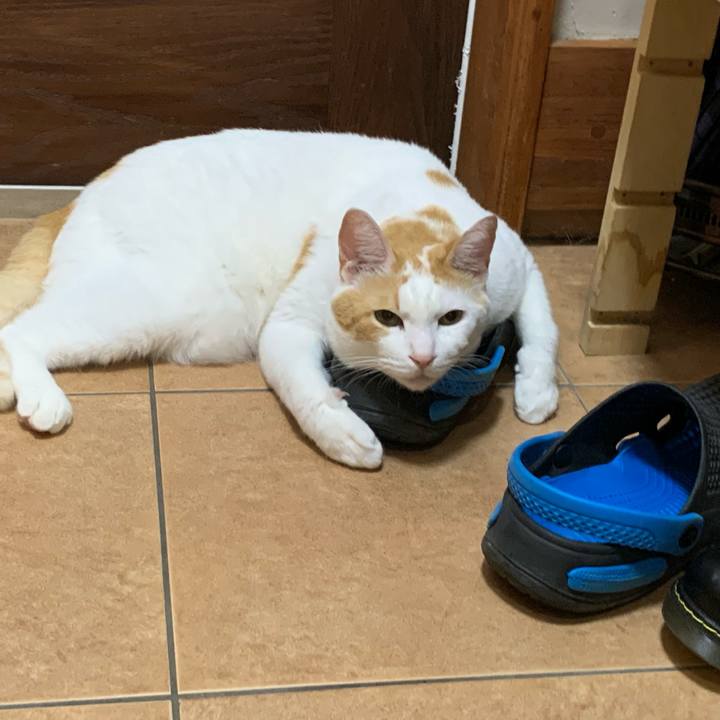 Ea0df18f 648b 45dc abfa eb157c172cb6 1597582892024