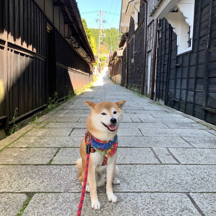 Ea0df4f2 b7e3 446d 86ab 30702b89001a 1589187051611