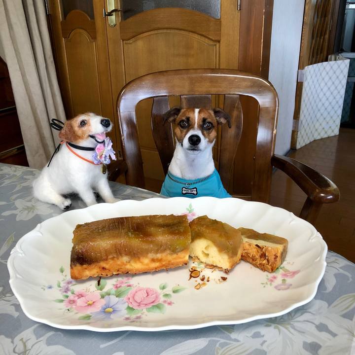 Ea0dfd7e 2bd9 4709 975f b5652ec8aaae 1599269786779