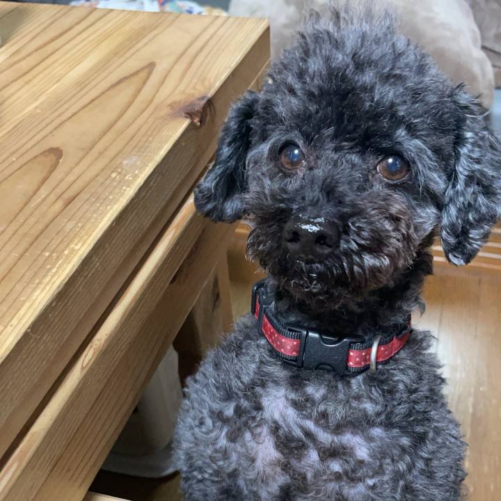 Ea0dff66 3a4f 4b5a 8382 de101d024737 1740574787354