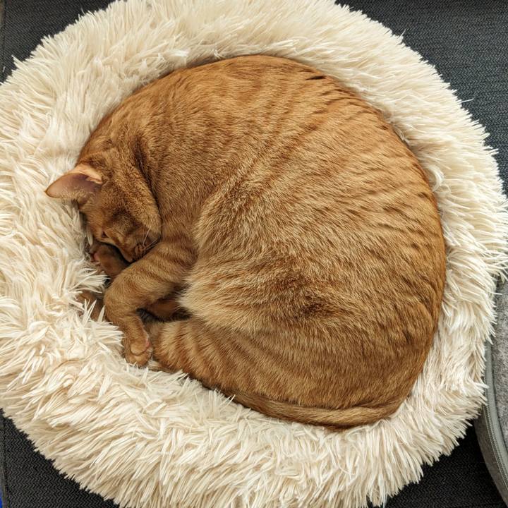 Ea0e1c25 0c2c 431d 8f16 0b1099489fb0 1674088850879