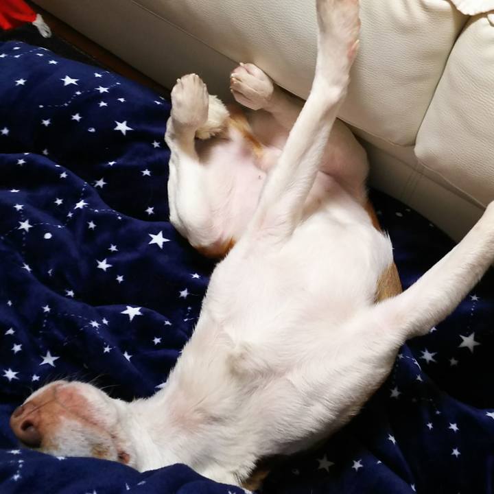 Ea0e28f4 3a09 4ce4 bc94 bc1b35b1e59c 1552747434315