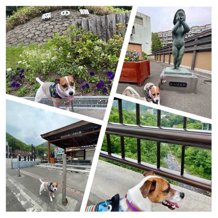 Ea0e2d2d 6cc5 4c43 a7f3 131b2d179ea7 1719488855195