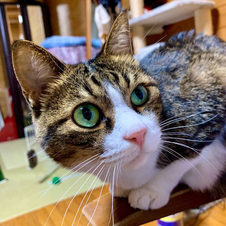 Ea0e5534 08a5 4f29 b6e0 4b4899e46fa9 1655897603055