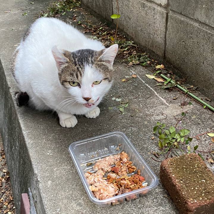 Ea0e5f22 adbc 4cbd 8555 eec69854567d 1666653006519