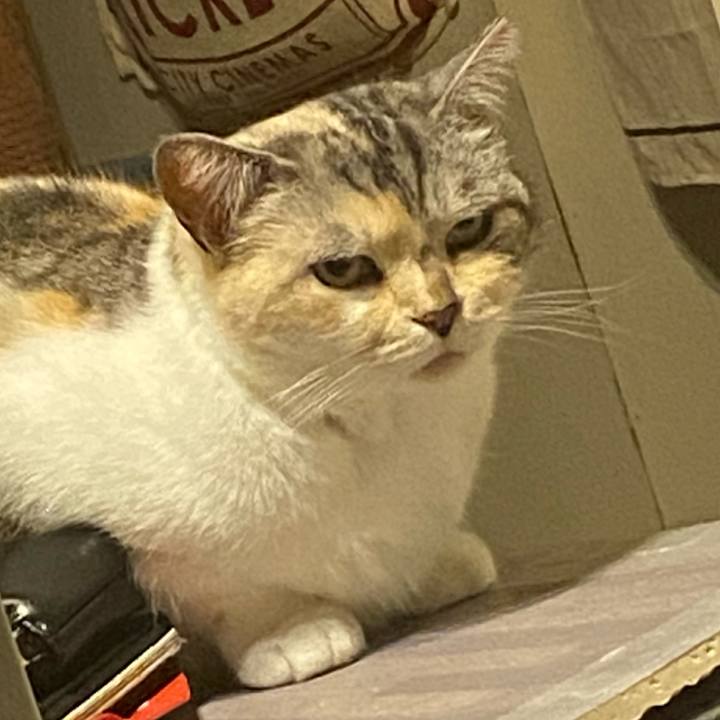 Ea0e92b5 b0c4 4195 b09b 55c56f9458ed 1621254289252