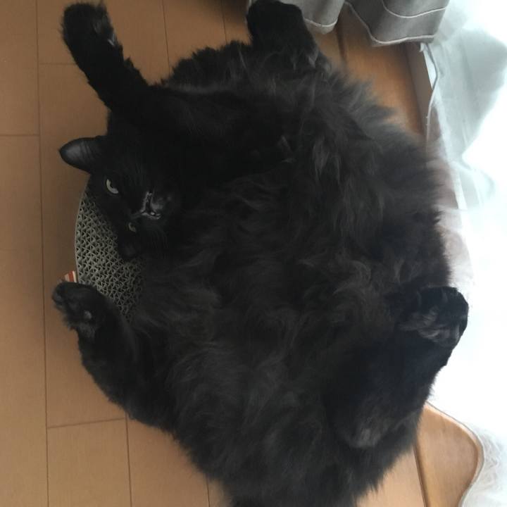 Ea0e948d c03d 4200 8cd9 17ed9d9f38fa 1536054577526