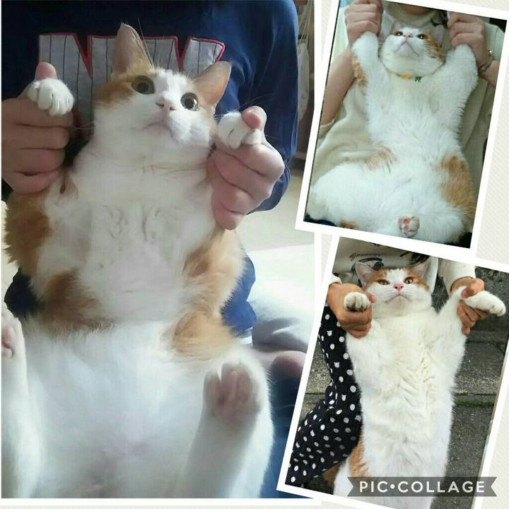 Ea0ec791 f612 4a64 933a 7e40353afa7b 1510447460486