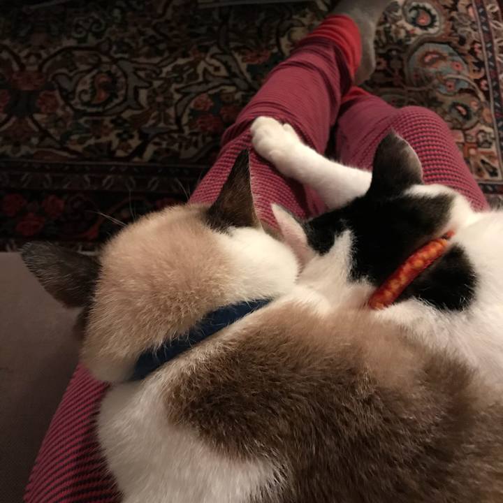 Ea0ef40f 064e 4404 8a24 b0f484b92fa5 1508035003058