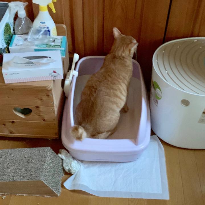 Ea0efed7 acf8 49ae 9eaa ab73fba7ea5b 1565906200775