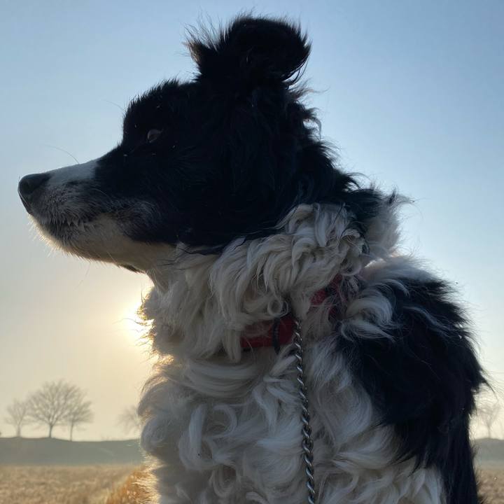 Ea0f4855 c507 44e3 9175 f93f5368cd47 1646868118314