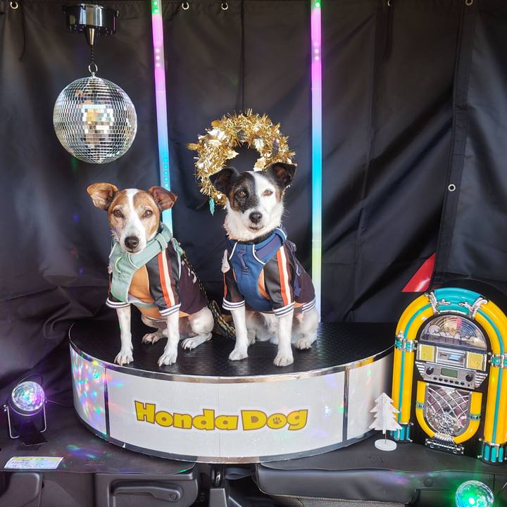 Ea0f4f81 af76 43d2 8ad4 b020c132c3c2 1763793846911