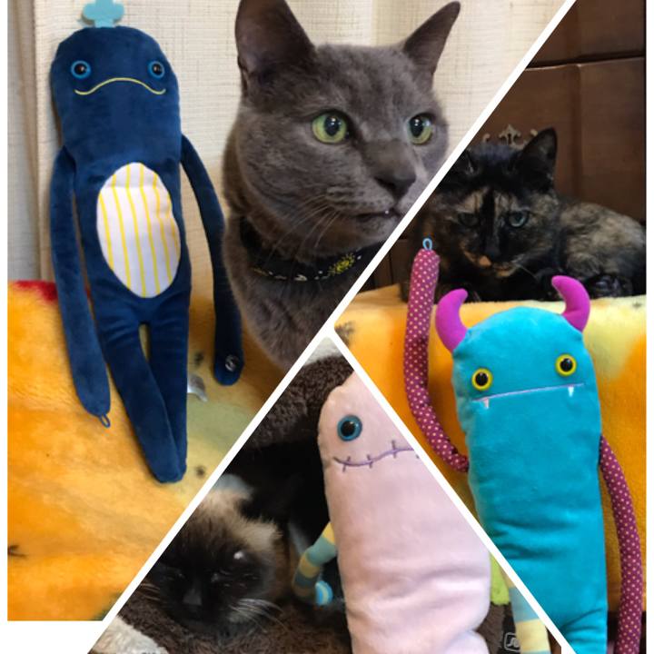 Ea0f83e8 d3f3 4f75 9d72 b20da31ea319 1554821585394