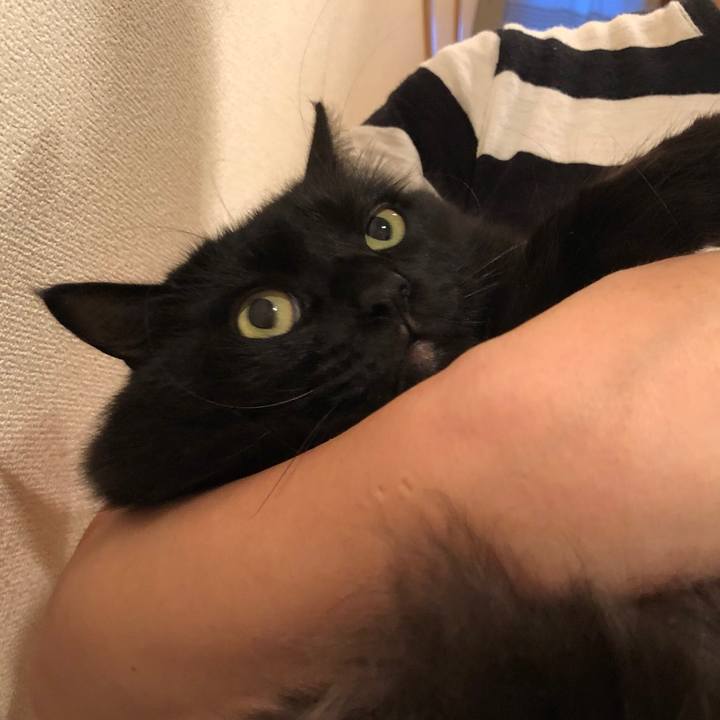 Ea0fc752 cadf 465e b4ba f7d6096dbf99 1535541649916