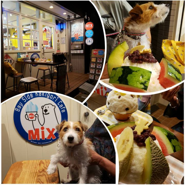 Ea0ff218 58a0 4a1c 9087 903313a6d8ab 1632175203065