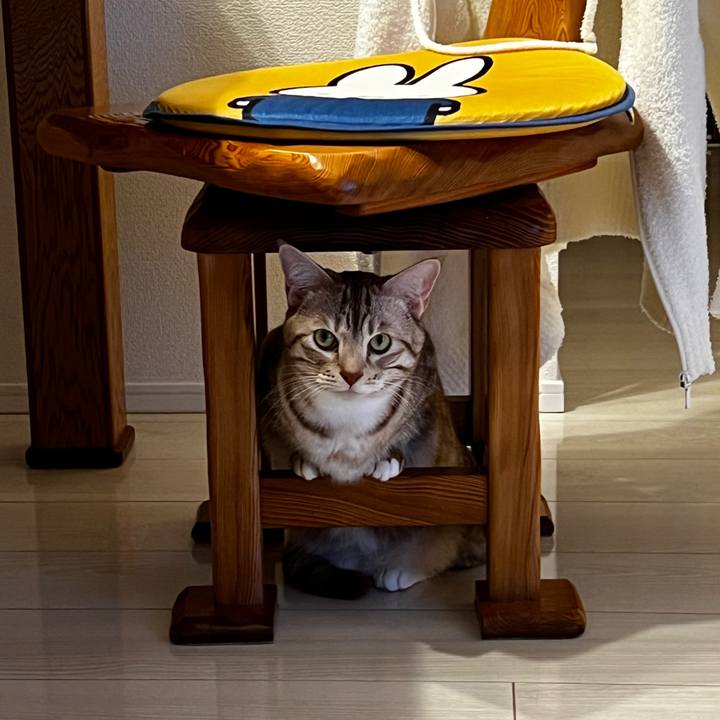 Ea0ff8ea e37f 491f ab0a c6a99654bdcd 1665841542246