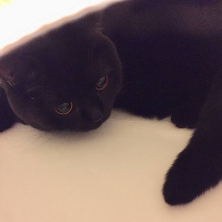 Ea10146c cde3 407c 8531 7fe7d2acc114 1513330070776