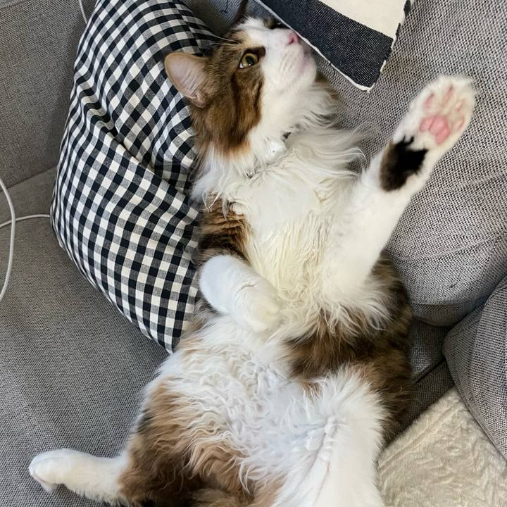 Ea101dcf 0718 4f56 a6dd 8c9bc3b60dfe 1651788082742