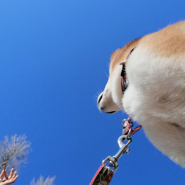 Ea103c91 6988 46e4 88d3 b2c58405b2bc 1675132093475