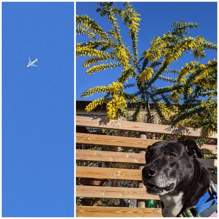 Ea10433b f88d 4a0c 927d cbe37fb8d64e 1709426436693