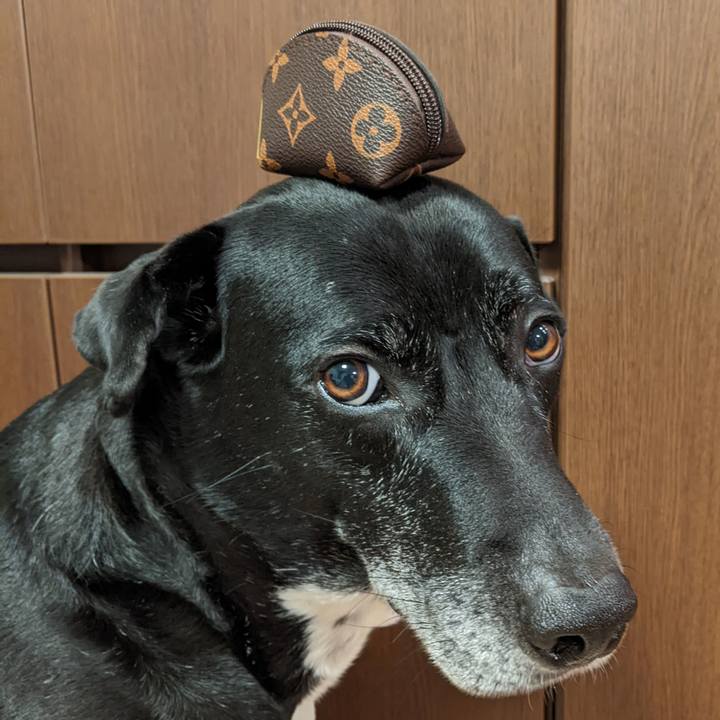 Ea10936a fad3 40a0 bc3e ba82dc6d7cda 1707821828449