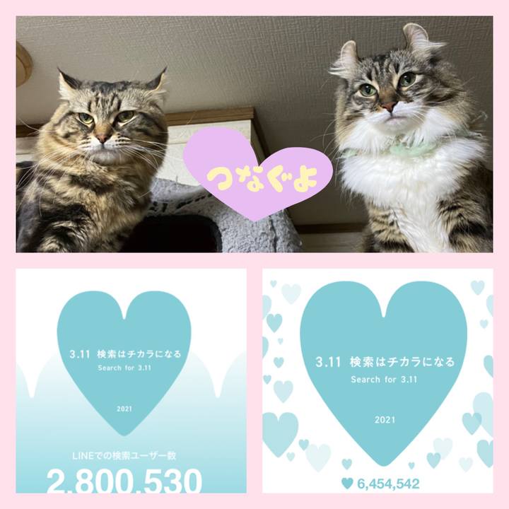 Ea109cfa ed2f 40bf 8c44 1c1d993c00a4 1615461879222