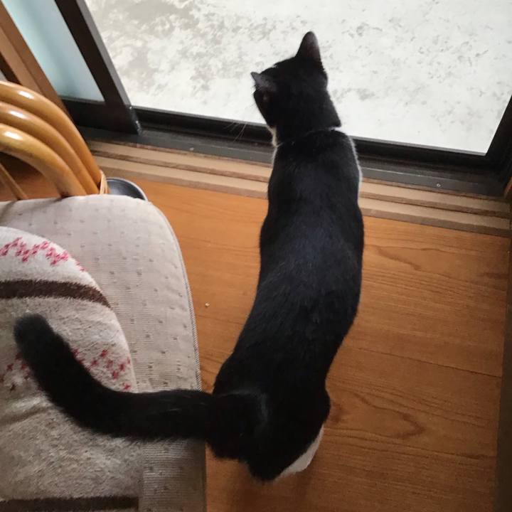 Ea10b091 9c22 45e5 8073 37bc4bf7835f 1693743105340