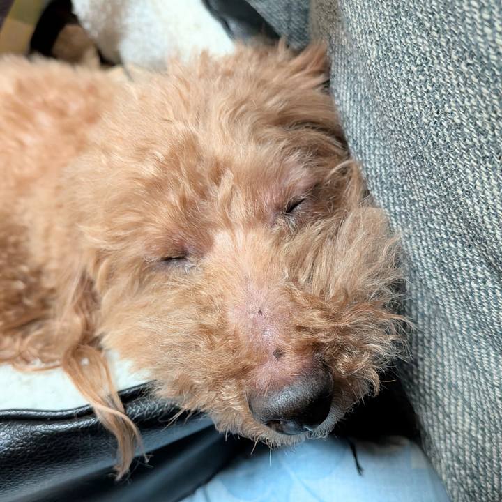 Ea10d27c fe49 48de b5e3 b3cb0379fabd 1771750498528