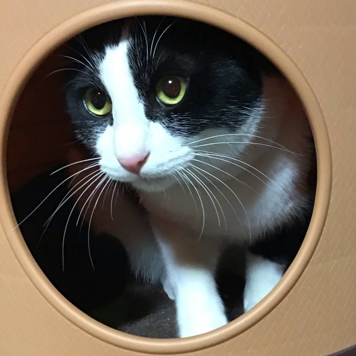 Ea10f590 8aac 4f9e 9874 296ab9bde4cb 1676037524996