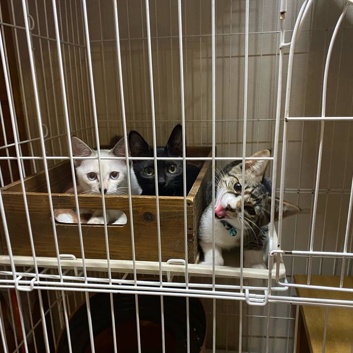 Ea111f45 4095 4f41 9754 831a3bd88658 1629193831147