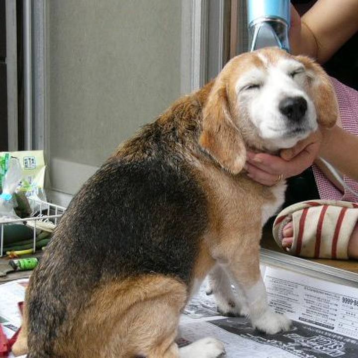 Ea117a1c c88e 4f6b abfa 78d2cae7473d 1652148506937