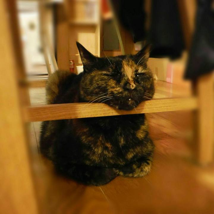 Ea119266 5b9b 4337 9387 a1b1cd136bcb 1535959984266