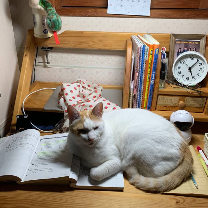 Ea11c055 ade7 4a09 85d9 9b8dfcb68787 1652651554269