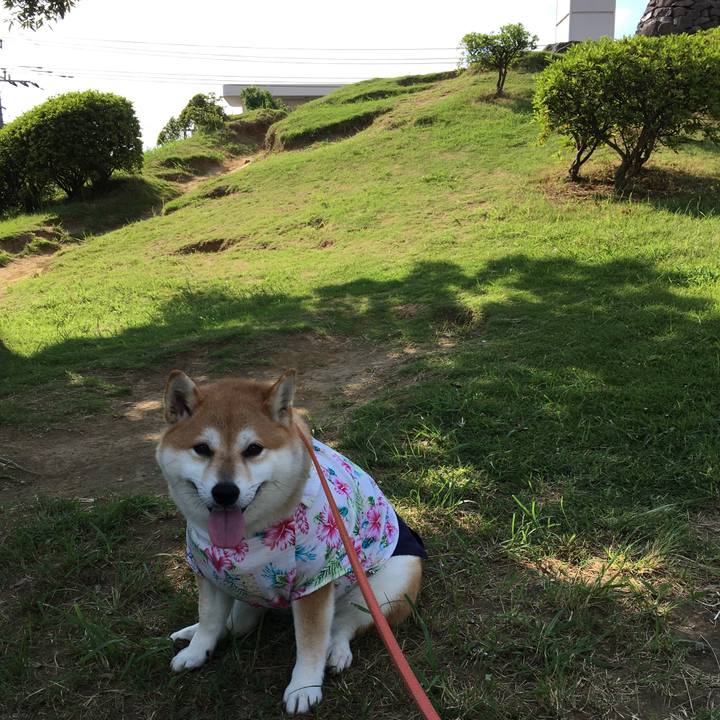 Ea11c9da 55a0 4c7a b0ac 811e72144cdf 1565482184395