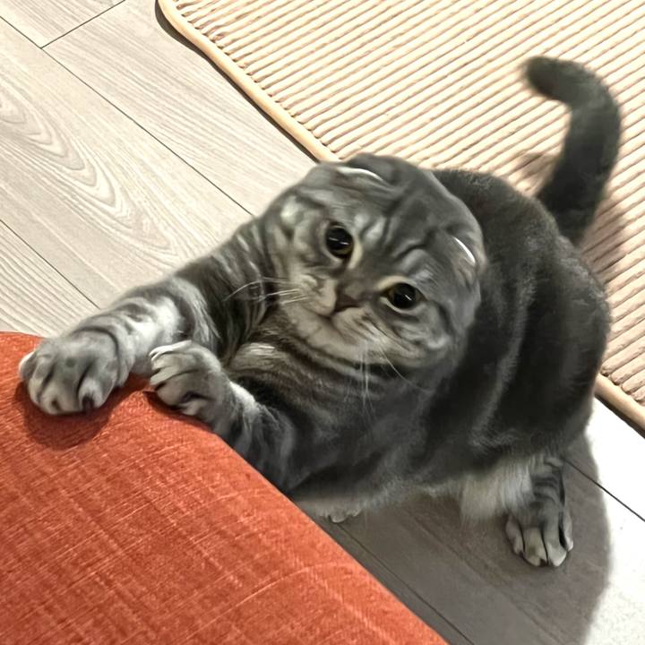 Ea11de17 af19 490e b8c6 59743c63ffbd 1645489074640