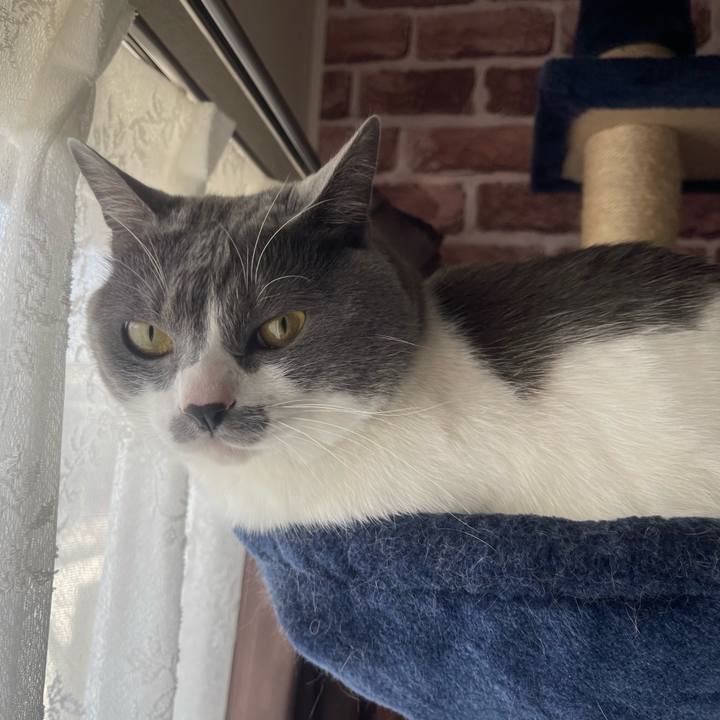 Ea11e3b0 fe07 4b2b 8350 6b433524eb7d 1649376876205