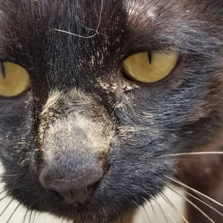 Ea11f617 75fd 46e3 8bee e2de2b361a87 1688446583491