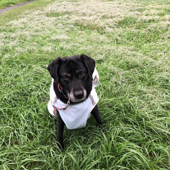 Ea120737 0d4d 4dba b5db 951df51ca6c9 1601017153422