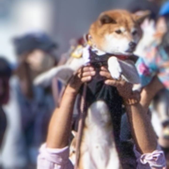 Ea1219ab cd46 412a 9b4f 89405194b063 1763339386861