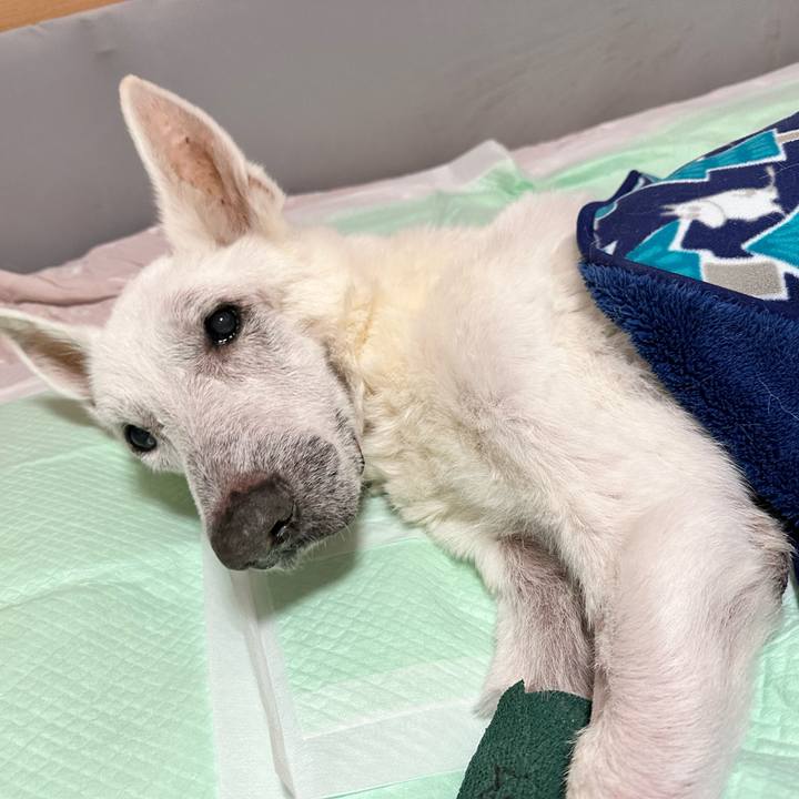 Ea1228a4 a2f9 4c55 a2e5 a9b4a2fdab92 1705143054781