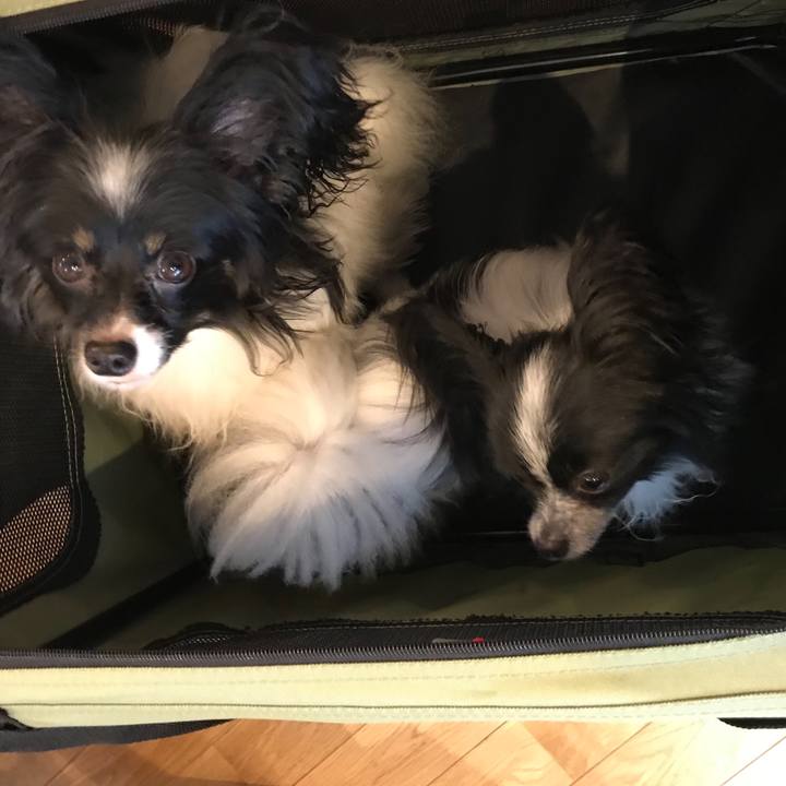 Ea124b3a 538b 4ec3 bce8 b4b2bd64a178 1534058653355