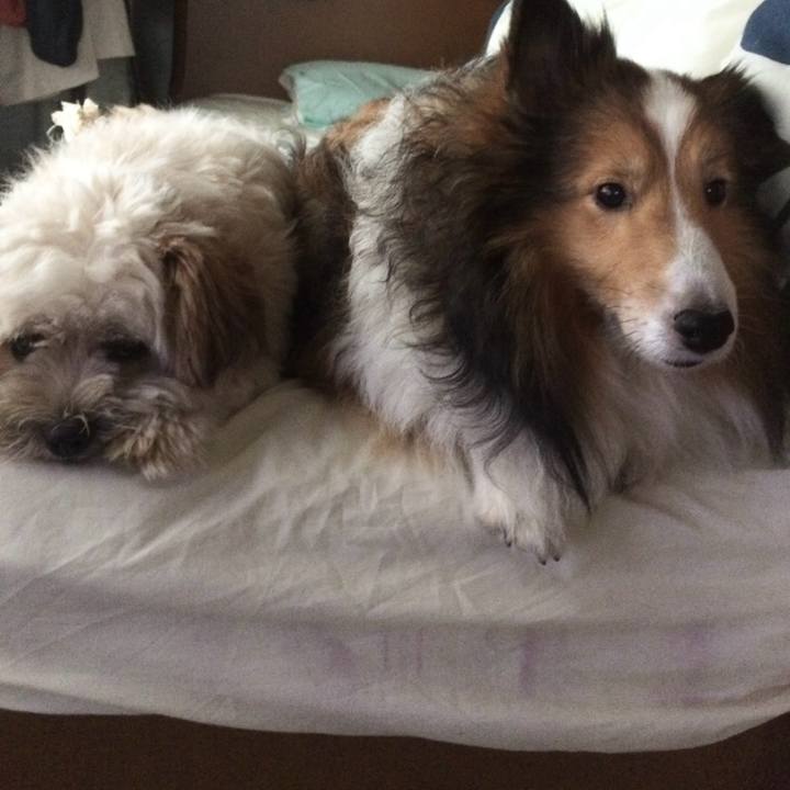 Ea126bc1 539c 4326 aa60 0deb0595b14d 1765964549316