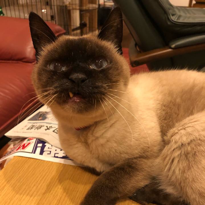 Ea127f7e 473c 4641 84ea e2a776ddd454 1553593864379