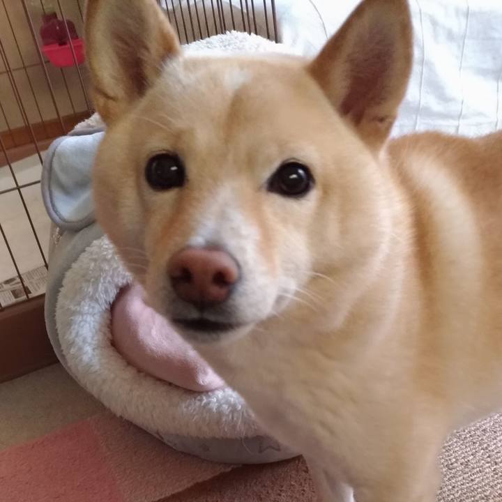 Ea129ed0 78e8 433f aa04 8ff06cf92b1b 1605312169777