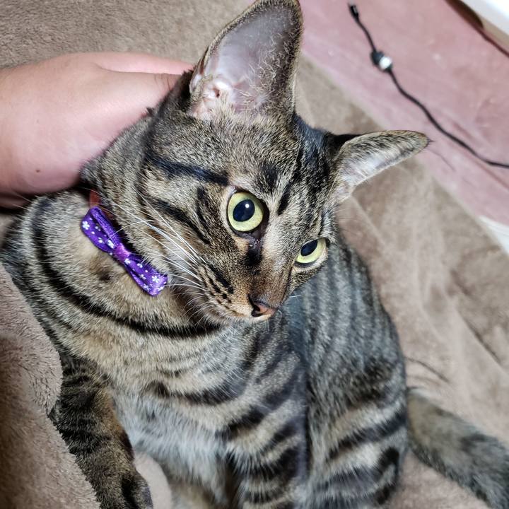 Ea12f9a1 07ea 479b 80c5 a653a0f0d5be 1569928567702