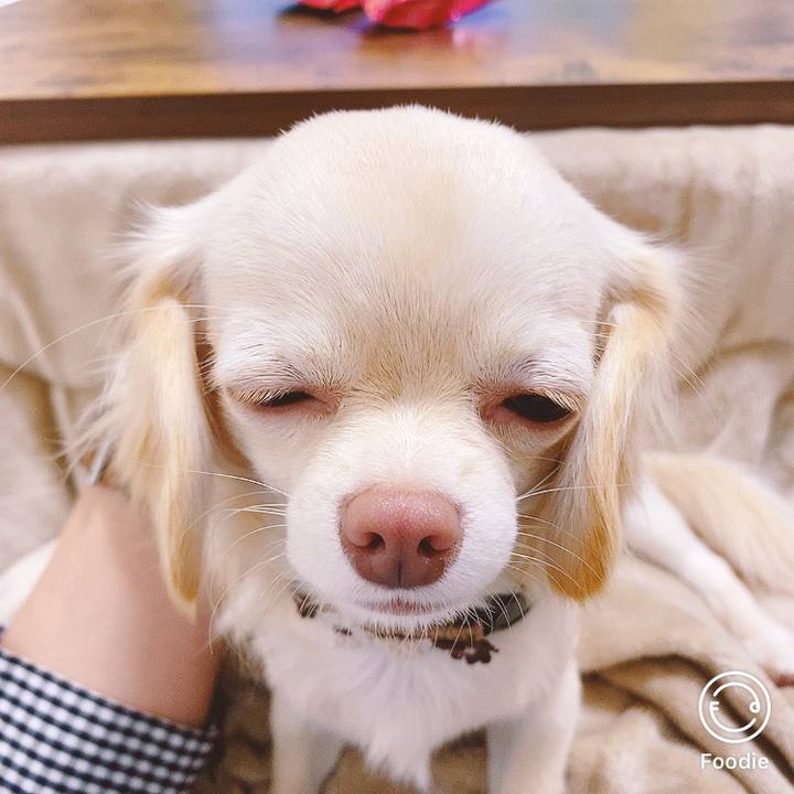 Ea131e27 1cfa 420e 9d56 41eaba879775 1606511724165