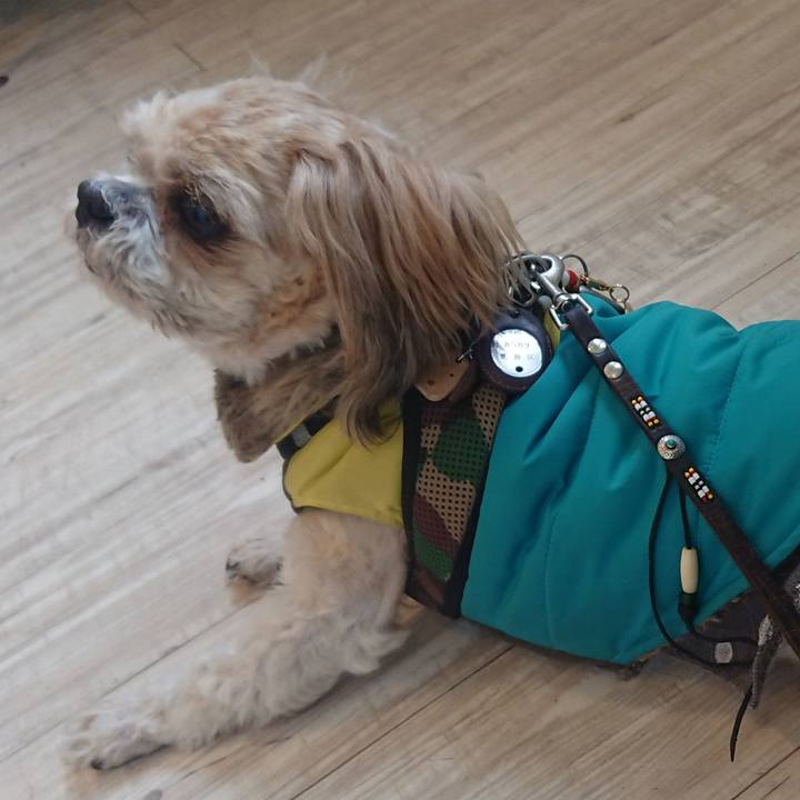 Ea1323d3 bb2d 437b 81d1 df940a20c25e 1518313249920